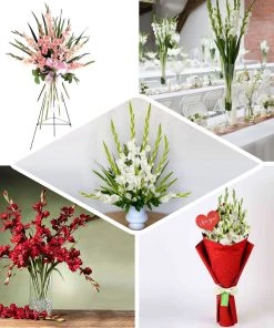 HIER_1150 3 Stems | 36