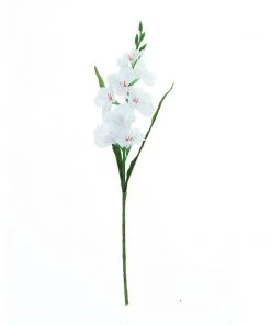 HIER_1150 3 Stems | 36