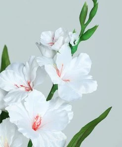 HIER_1150 3 Stems | 36