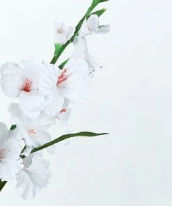 HIER_1150 3 Stems | 36