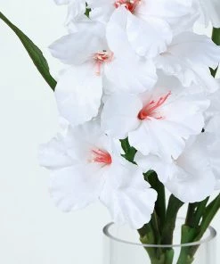 HIER_1150 3 Stems | 36