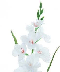 HIER_1150 3 Stems | 36