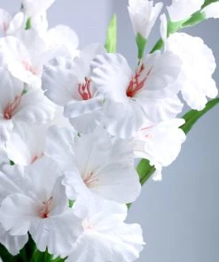 HIER_1150 3 Stems | 36