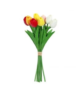 HIER_1150 10 Stems | 13