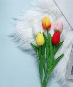 HIER_1150 10 Stems | 13