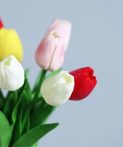 HIER_1150 10 Stems | 13