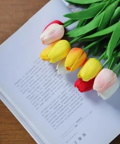 HIER_1150 10 Stems | 13