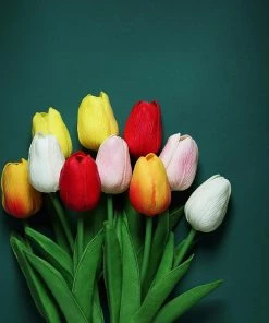 HIER_1150 10 Stems | 13