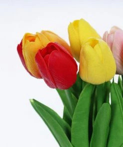 HIER_1150 10 Stems | 13