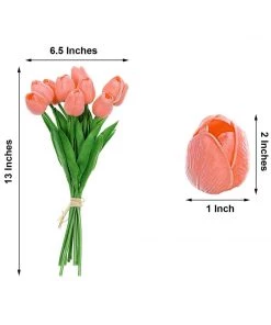 HIER_1150 10 Stems | 13