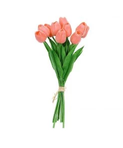 HIER_1150 10 Stems | 13