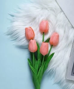 HIER_1150 10 Stems | 13