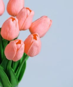 HIER_1150 10 Stems | 13