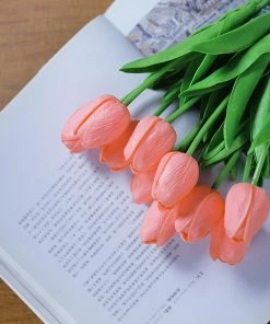 HIER_1150 10 Stems | 13