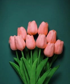 HIER_1150 10 Stems | 13