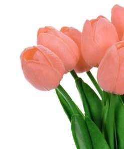 HIER_1150 10 Stems | 13