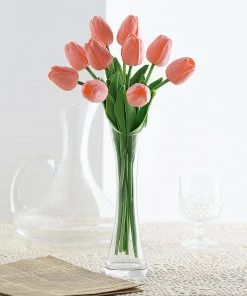 HIER_1150 10 Stems | 13