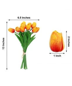 HIER_1150 10 Stems | 13