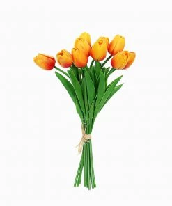 HIER_1150 10 Stems | 13