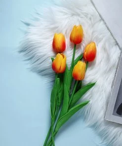 HIER_1150 10 Stems | 13