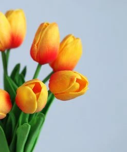 HIER_1150 10 Stems | 13