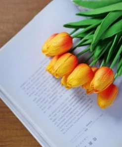 HIER_1150 10 Stems | 13