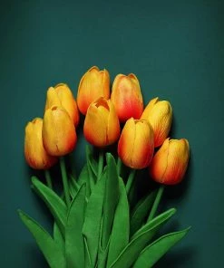 HIER_1150 10 Stems | 13