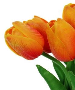 HIER_1150 10 Stems | 13