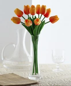 HIER_1150 10 Stems | 13