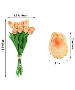 HIER_1150 10 Stems | 13