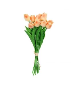 HIER_1150 10 Stems | 13