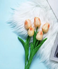 HIER_1150 10 Stems | 13