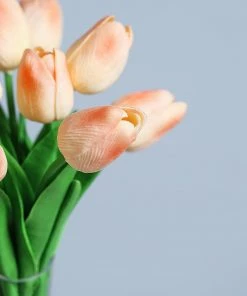 HIER_1150 10 Stems | 13