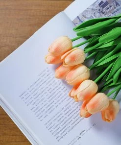 HIER_1150 10 Stems | 13