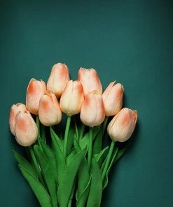 HIER_1150 10 Stems | 13