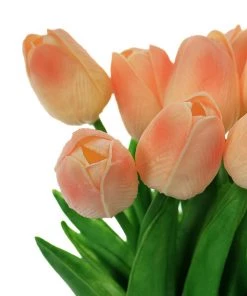 HIER_1150 10 Stems | 13