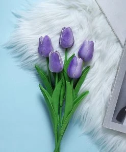 HIER_1150 10 Stems | 13