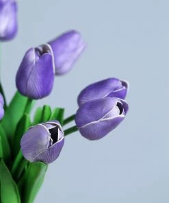 HIER_1150 10 Stems | 13