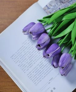 HIER_1150 10 Stems | 13