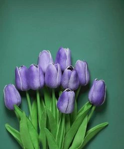 HIER_1150 10 Stems | 13