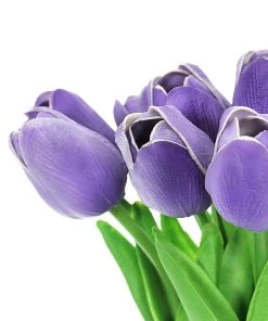 HIER_1150 10 Stems | 13