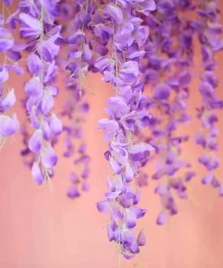 HIER_1210 Garlands | Vines 42" Lavender Artificial Silk Hanging Wisteria Flower Garland Vines