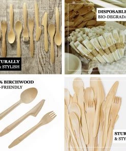 HIER_5460 Disposable Dinnerware 100 Pack | 6