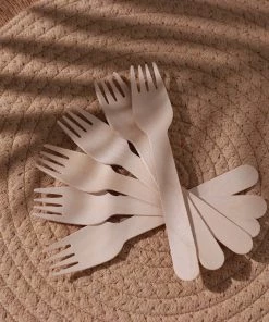 HIER_5460 Disposable Dinnerware 100 Pack | 6