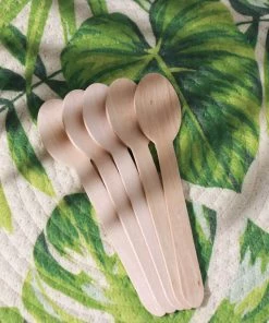HIER_5460 100 Pack | 6" Eco Friendly Birchwood Disposable Picnic Spoons, Cutlery