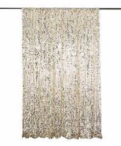 HIER_3110 Big Event Backdrops & Décor 8ftx8ft Champagne Big Payette Sequin Photography Booth Backdrop
