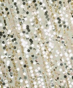 HIER_3110 Big Event Backdrops & Décor 8ftx8ft Champagne Big Payette Sequin Photography Booth Backdrop