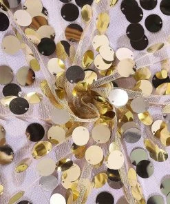 HIER_3110 Big Event Backdrops & Décor 8ftx8ft Champagne Big Payette Sequin Photography Booth Backdrop