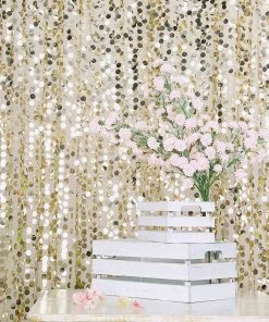 HIER_3110 Big Event Backdrops & Décor 8ftx8ft Champagne Big Payette Sequin Photography Booth Backdrop
