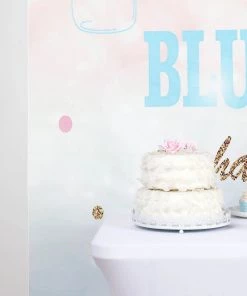 HIER_3110 8ftx8ft Gender Reveal "Blue Or Pink" Vinyl Photography Booth Backdrop Vinyl Photography Backdrops 21 HIER_3110 8ftx8ft Gender Reveal